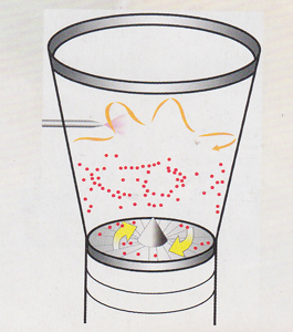 香港1861最早全图库